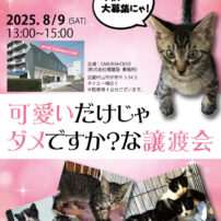 またまたやります！猫さま譲渡会。