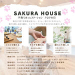 9月６日土曜日アロマイベント開催します！
