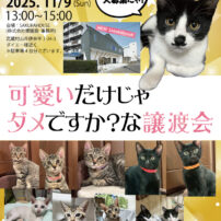 またまたやります、猫さま譲渡会!