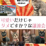 今年もやります譲渡会。