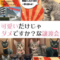 今年もやります譲渡会。