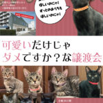 2026年１月18日、今年最初の譲渡会＆２月の告知です