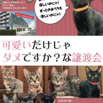 2026年１月18日、今年最初の譲渡会＆２月の告知です